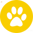 来利国际AG旗舰厅历程